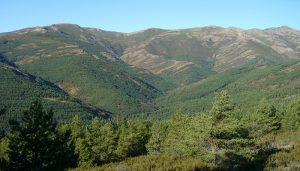 Montes de Guadalajara