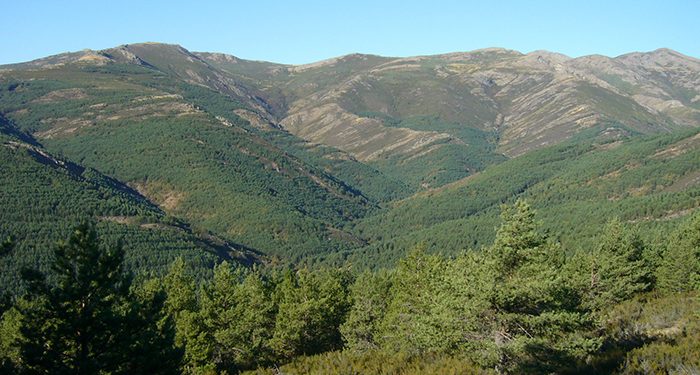 Montes de Guadalajara