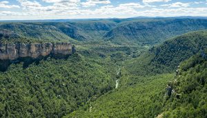 Nace RumboRural, la plataforma de jóvenes que se lanza a revitalizar el Alto Tajo