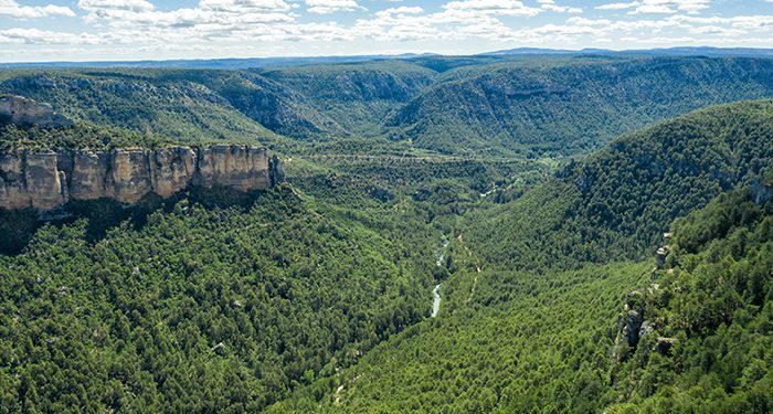 Nace RumboRural, la plataforma de jóvenes que se lanza a revitalizar el Alto Tajo 1 Nace RumboRural, la plataforma de jóvenes que se lanza a revitalizar el Alto Tajo