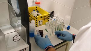 Castilla-La Mancha alcanza los 23.000 donantes en el Registro de Donantes de Médula Ósea 7 Castilla-La Mancha aporta más de 18.000 donantes al Registro de Donantes de Médula Ósea