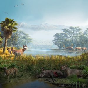 Un investigador conquense publica en la revista Science un estudio sobre el funcionamiento ecológico de las comunidades de mamíferos