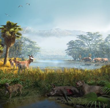 Un investigador conquense publica en la revista Science un estudio sobre el funcionamiento ecológico de las comunidades de mamíferos 1 Un investigador conquense publica en la revista Science un estudio sobre el funcionamiento ecológico de las comunidades de mamíferos