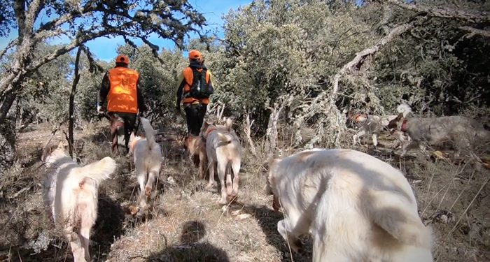 ARRECAL reclama mejorar la regulación rehala y la montería en el reglamento de caza de Castilla-La Mancha 1 ARRECAL reclama mejorar la regulación rehala y la montería en el reglamento de caza de Castilla-La Mancha