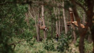 Aventura y diversión con seguridad a cinco metros sobre el suelo, en pleno pinar así es el nuevo parque de cuerdas de El Colvillo