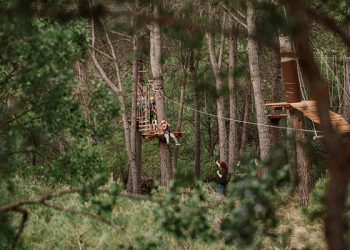 Aventura y diversión con seguridad a cinco metros sobre el suelo, en pleno pinar: así es el nuevo parque de cuerdas de El Colvillo