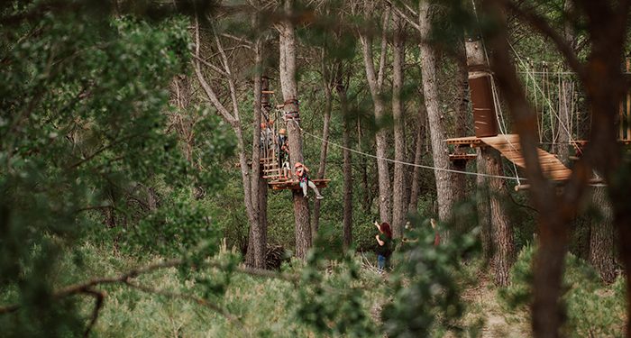 Aventura y diversión con seguridad a cinco metros sobre el suelo, en pleno pinar así es el nuevo parque de cuerdas de El Colvillo
