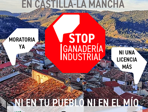 C-LM Stop Macrogranjas se manifestará este domingo para exigir una moratoria contra la ganadería industrial en Castilla-La Mancha 1 C-LM Stop Macrogranjas se manifestará este domingo para exigir una moratoria contra la ganadería industrial en Castilla-La Mancha