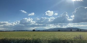 Castilla-La Mancha amplía el plazo de presentación de la solicitud única de la PAC hasta el 31 de mayo