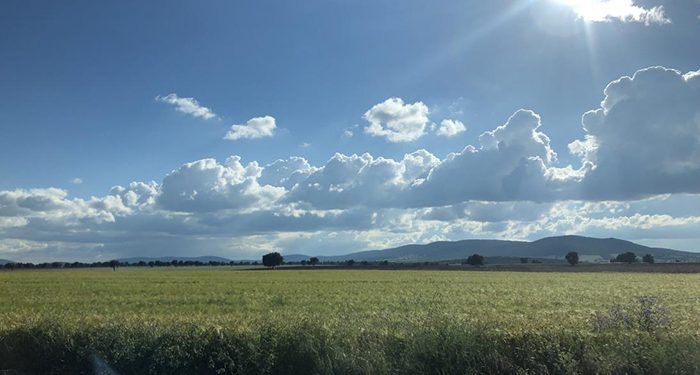 Castilla-La Mancha amplía el plazo de presentación de la solicitud única de la PAC hasta el 31 de mayo