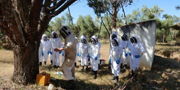 Efectivos del cuerpo de bomberos aprenden a retirar enjambres de abejas en el entorno urbano