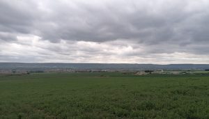 El consejero de Fomento muestra su disposición favorable a la creación de un polígono industrial en Villanueva de la Torre