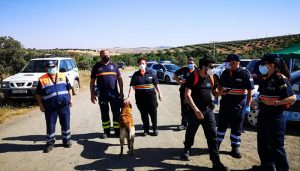 El Gobierno de Castilla-La Mancha concede 20 medallas individuales y 13 placas colectivas de Protección Civil