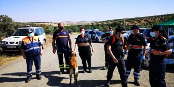 El Gobierno de Castilla-La Mancha concede 20 medallas individuales y 13 placas colectivas de Protección Civil