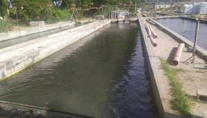 El Gobierno regional destina más de 200.000 euros para el fomento de la acuicultura en la región