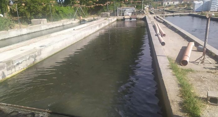 El Gobierno regional destina más de 200.000 euros para el fomento de la acuicultura en la región