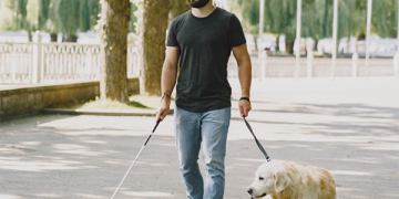 El Gobierno regional inicia la consulta pública del decreto que desarrolla la Ley de acceso al entorno de las personas con discapacidad acompañadas de perros