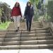 El Gobierno regional licita el arreglo de las escaleras de acceso al CEIP Santa Teresa de Cuenca