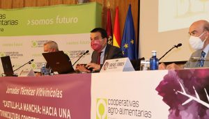 El Gobierno regional pide “presumir y sacar la cabeza” para que la región lidere la gestión del sector vitivinícola a nivel nacional