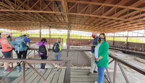 El Gobierno regional prolongará la gratuidad de las visitas a los parques y yacimientos arqueológicos hasta el 31 de diciembre de este año