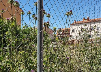 El PP de Azuqueca muestra su preocupación por la maleza y la suciedad acumulada en muchos solares