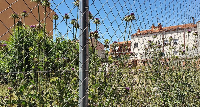 El PP de Azuqueca muestra su preocupación por la maleza y la suciedad acumulada en muchos solares 1 El PP de Azuqueca muestra su preocupación por la maleza y la suciedad acumulada en muchos solares