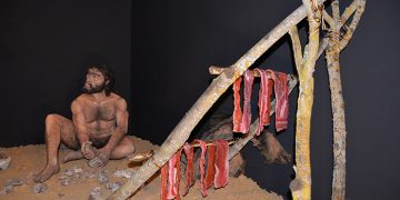 El prehistoriador Germán Delibes abre mañana el ciclo de conferencias ‘La caza: un desafío en evolución’ del IREC