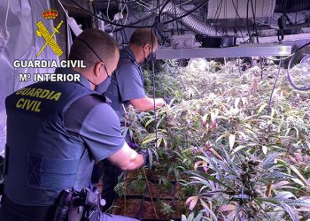 Guardia Civil marihuana