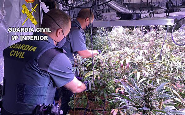 La Guardia Civil desmantela una plantación de marihuana “indoor” en la urbanización Parque de Las Castillas 1 Guardia Civil marihuana