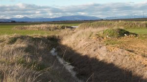 La Asociación La Campiña Verde denuncia un delito ecológico contra la laguna temporal Navajo Vedado de El Casar