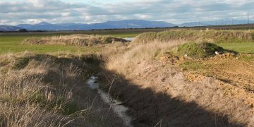 La Asociación La Campiña Verde denuncia un delito ecológico contra la laguna temporal Navajo Vedado de El Casar