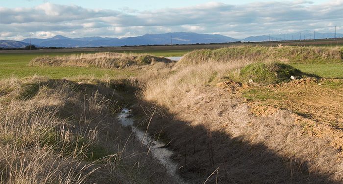 La Asociación La Campiña Verde denuncia un delito ecológico contra la laguna temporal Navajo Vedado de El Casar 1 La Asociación La Campiña Verde denuncia un delito ecológico contra la laguna temporal Navajo Vedado de El Casar
