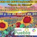 La Red de Pueblos Proactivos organiza el primer Foro de Revitalización Rural 3 La Red de Pueblos Proactivos organiza el primer Foro de Revitalización Rural