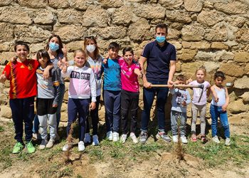 Los niños y niñas del colegio de Alcocer plantan 30 pinos para la campaña ‘Un árbol por Europa’