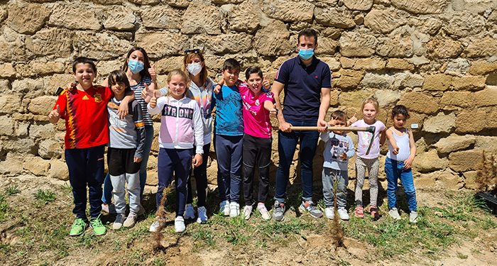 Los niños y niñas del colegio de Alcocer plantan 30 pinos para la campaña ‘Un árbol por Europa’ 1 Los niños y niñas del colegio de Alcocer plantan 30 pinos para la campaña ‘Un árbol por Europa’