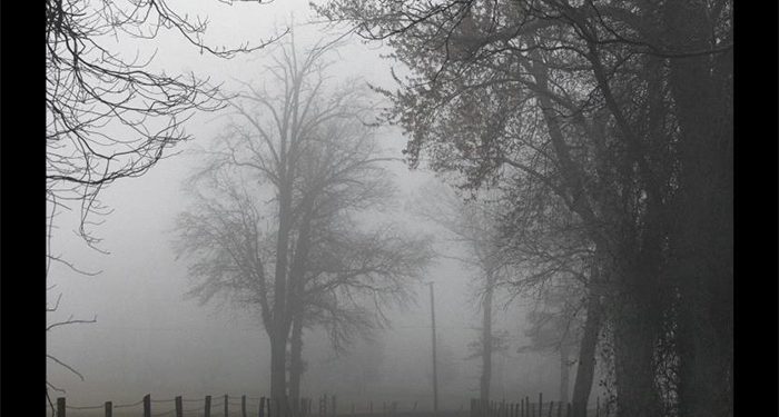 Los relatos fotográficos de Carolyn Marks Blackwood llegan a la Casa Zavala de Cuenca