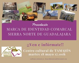 Presentación  Identidad comarcal Tamajón