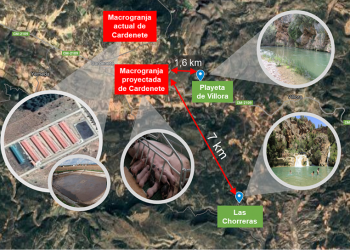 Pueblos Vivos Cuenca lanza una recogida de fondos para luchar contra la instalación de una macrogranja porcina en la Reserva de la Biosfera Valle del Cabriel