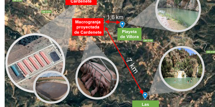 Pueblos Vivos Cuenca lanza una recogida de fondos para luchar contra la instalación de una macrogranja porcina en la Reserva de la Biosfera Valle del Cabriel