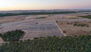 Solaria recibe más de 2.000 solicitudes de empleo en una semana para su complejo fotovoltaico Cifuentes-Trillo 626MW