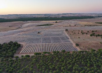Solaria recibe más de 2.000 solicitudes de empleo en una semana para su complejo fotovoltaico Cifuentes-Trillo 626MW