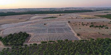 La asociación DALMA de Guadalajara recurre los proyectos de energía renovable a gran escala  en Almoguera y Torremocha del Campo