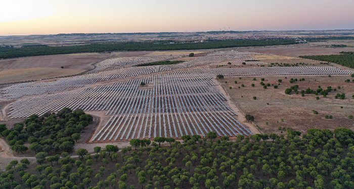 Solaria recibe más de 2.000 solicitudes de empleo en una semana para su complejo fotovoltaico Cifuentes-Trillo 626MW