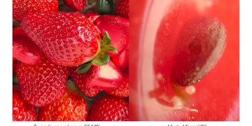 ¿Fotos microscópicas con un móvil? Oppo asegura que se puede con su Find X3 Pro 5G