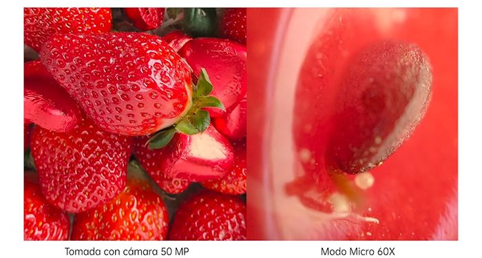 ¿Fotos microscópicas con un móvil Oppo asegura que se puede con su Find X3 Pro 5G