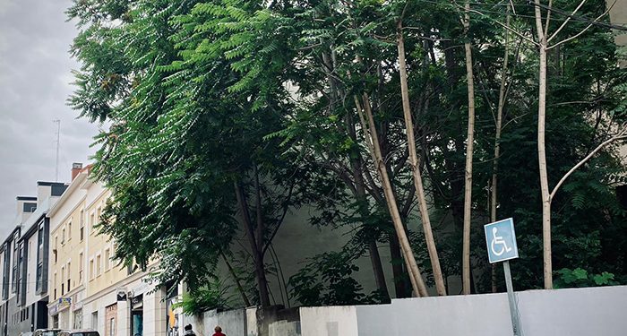 Arranca el plan de inspección de solares del Ayuntamiento de Guadalajara 1 Arranca el plan de inspección de solares del Ayuntamiento de Guadalajara