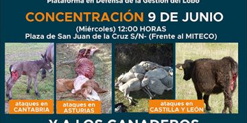 Arrecal se suma a la manifestación en defensa de los ganaderos y de la gestión del lobo ibérico