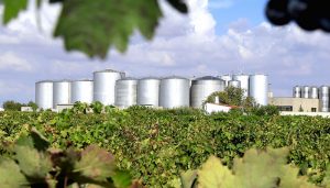 Bodegas Campos Reales nominada Mejor Bodega del Año en los Premios Verema 2020