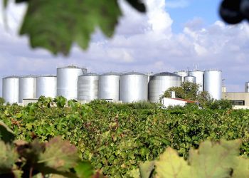 Bodegas Campos Reales nominada Mejor Bodega del Año en los Premios Verema 2020