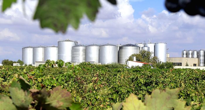 Bodegas Campos Reales nominada Mejor Bodega del Año en los Premios Verema 2020